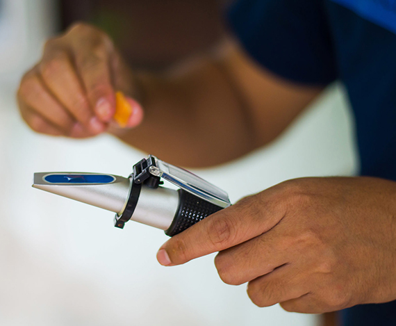 PG电子|PG电子平台·(中国)官方网站